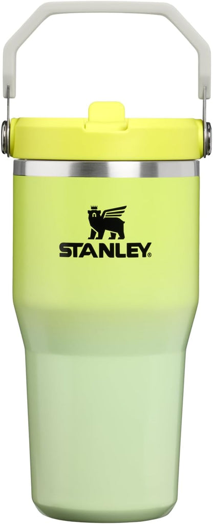 STANLEY IceFlow 2.0 Flip Straw Tumbler, 20 oz, Atomic Gradient | Easy Carry by Unknown