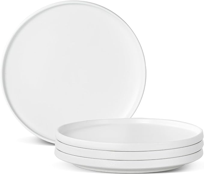 Ceramic Dinner Plates, 10.25 Inch, Set by Shrynxal