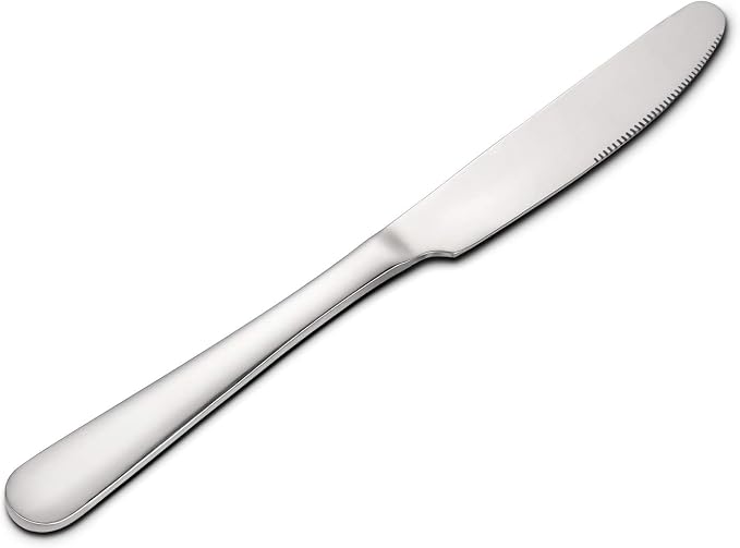HIWARE 12-piece Good Stainless Steel Dinner Knives, 9 Inches by HIWARE