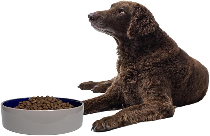 SPOT Standard Crock Dish - Image 9