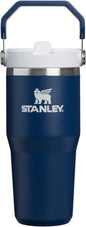 STANLEY IceFlow 2.0 Flip Straw Tumbler, 14 oz, Dark Navy | Easy Carry Handle | by Unknown