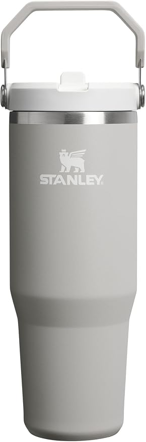 STANLEY IceFlow 2.0 Flip Straw Tumbler, 30 oz, Ash | Easy Carry Handle | Twist by Unknown