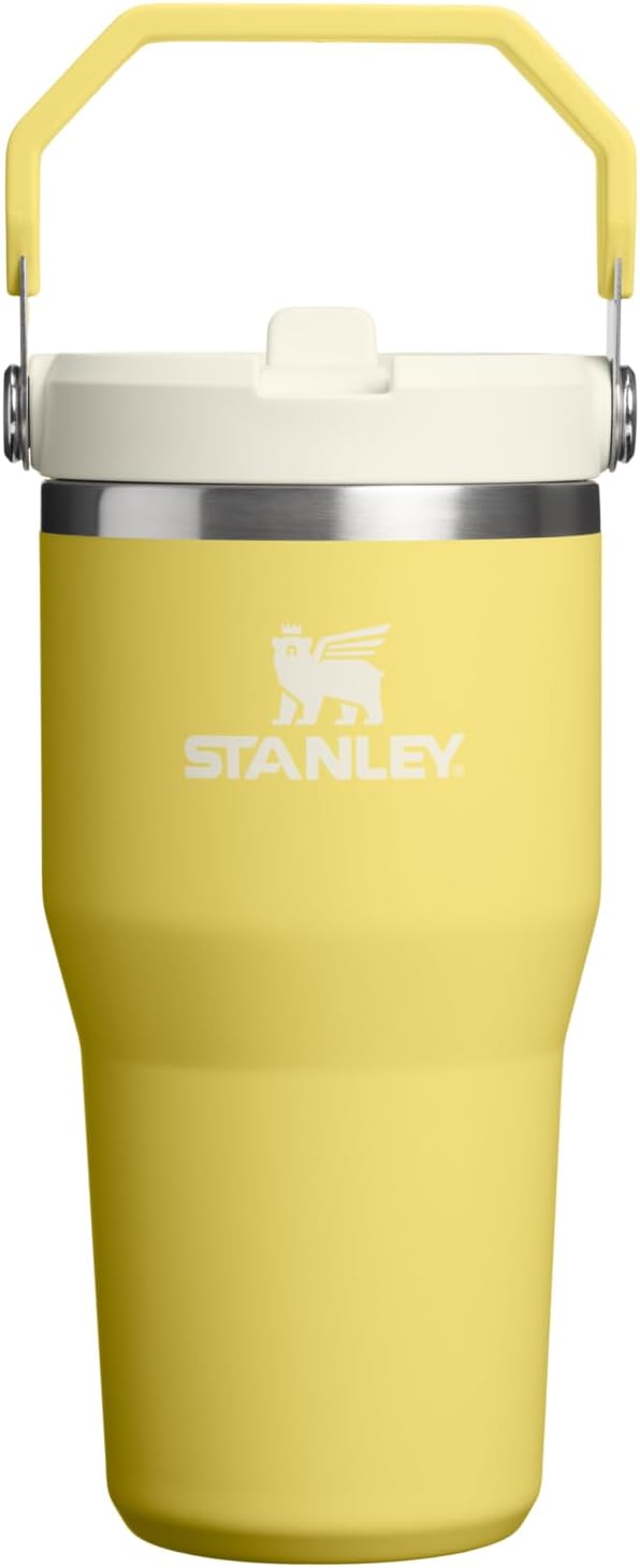 STANLEY IceFlow 2.0 Flip Straw Tumbler, 20 oz, Daffodil | Easy Carry Handle | by Unknown