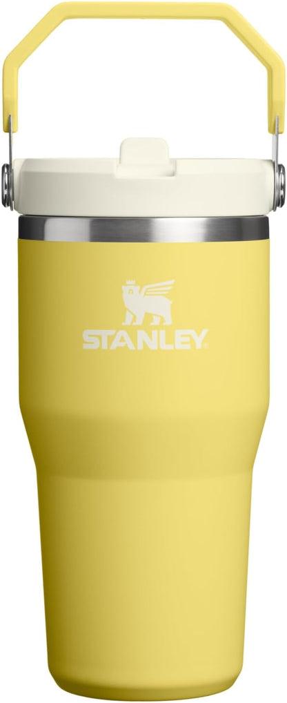 STANLEY IceFlow 2.0 Flip Straw Tumbler, 20 oz, Daffodil | Easy Carry Handle | by Unknown