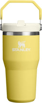 STANLEY IceFlow 2.0 Flip Straw Tumbler, 20 oz, Daffodil | Easy Carry Handle | by Unknown