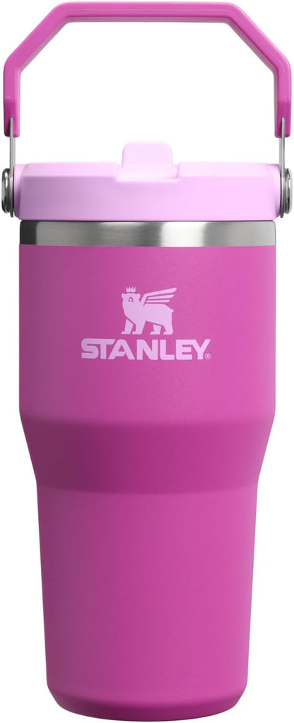 STANLEY IceFlow 2.0 Flip Straw Tumbler, 20 oz, Dark Blossom | Easy Carry Handle by Unknown