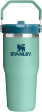 STANLEY IceFlow 2.0 Flip Straw Tumbler, 14 oz, Spring Green | Easy Carry Handle by Unknown