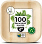Palm Leaf Plate Bamboo Paper Disposable 6 Inch 100 Bulk Appetizer and Dessert Square Party Pack Eco Biodegradable Compostable Wooden Plates Better Than Plastic Plates By KoalaLove