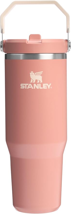 STANLEY IceFlow 2.0 Flip Straw Tumbler, 30 oz, Sienna | Easy Carry Handle | by Unknown