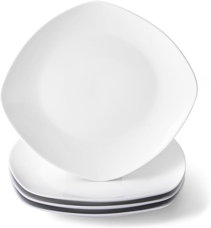 10" Square Dinner Plates Set of 4, Appetizer & Dessert, Dishwasher Safe by fMBB
