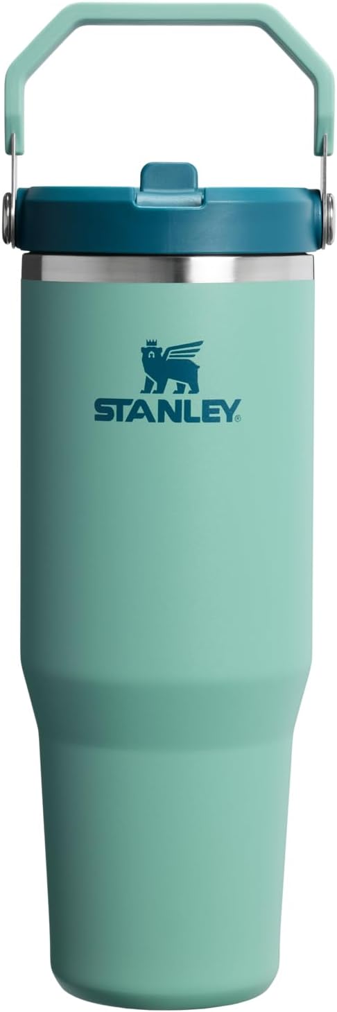 STANLEY IceFlow 2.0 Flip Straw Tumbler, 30 oz, Spring Green | Easy Carry Handle by Unknown