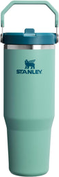 STANLEY IceFlow 2.0 Flip Straw Tumbler, 30 oz, Spring Green | Easy Carry Handle by Unknown