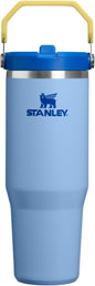 STANLEY IceFlow 2.0 Flip Straw Tumbler, 30 oz, Cornflower Admiral Blue | Easy by Unknown