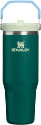 STANLEY IceFlow 2.0 Flip Straw Tumbler, 30 oz, Honeydew Garden | Easy Carry by Unknown
