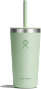 Hydro Flask 20 Oz All Around Tumbler Straw Lid Aloe by Unknown