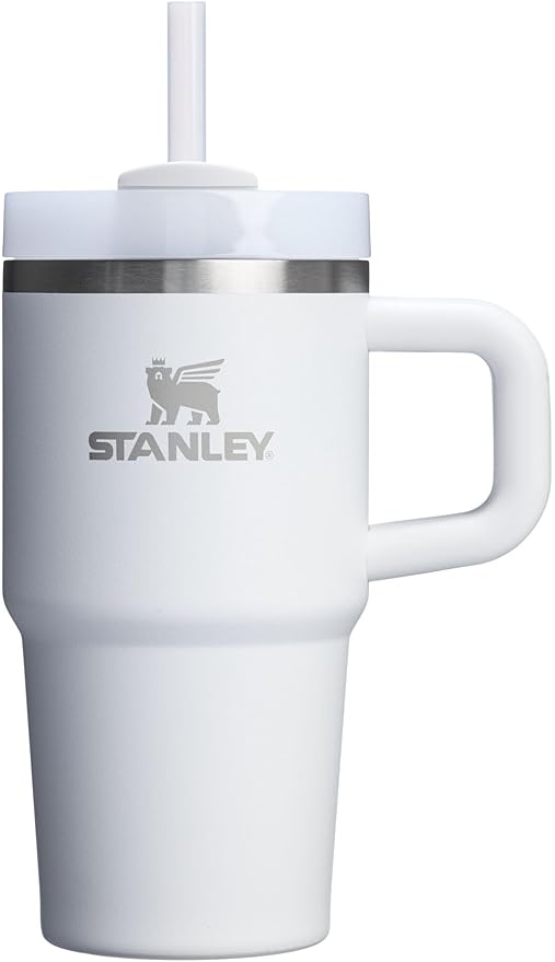 STANLEY Quencher H2.0 Flow State Tumbler, 20 oz, Frost | Handle and Straw | by Unknown