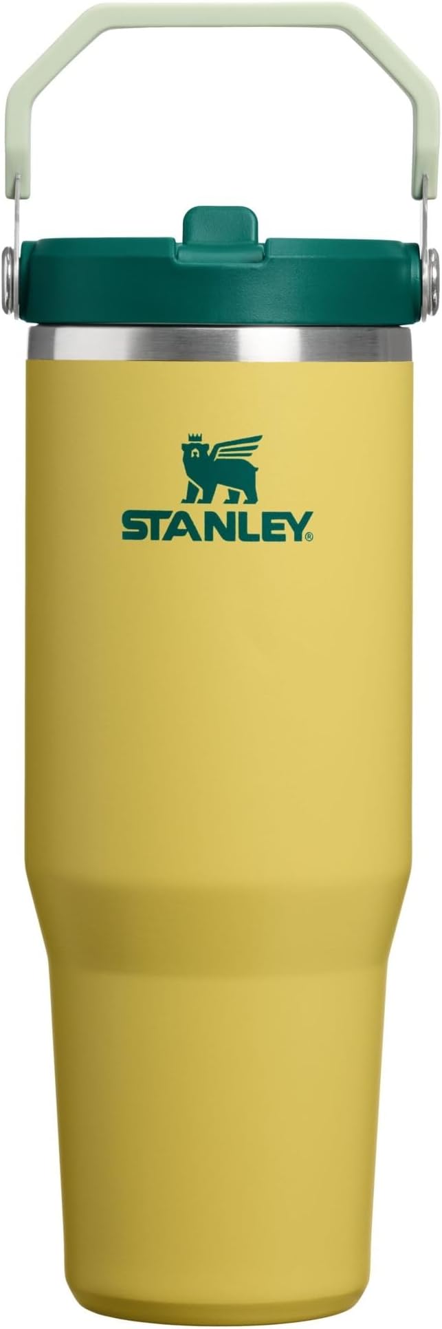 STANLEY IceFlow 2.0 Flip Straw Tumbler, 30 oz, Daffodil Emerald | Easy Carry by Unknown