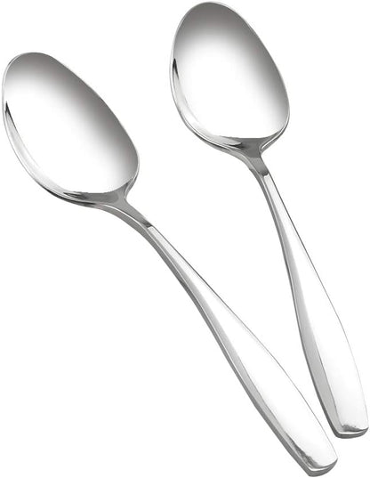 Ggbin 6 Pieces Stainless Steel Dinner Buffet Serving Spoons, 9.75 Inches by Ggbin