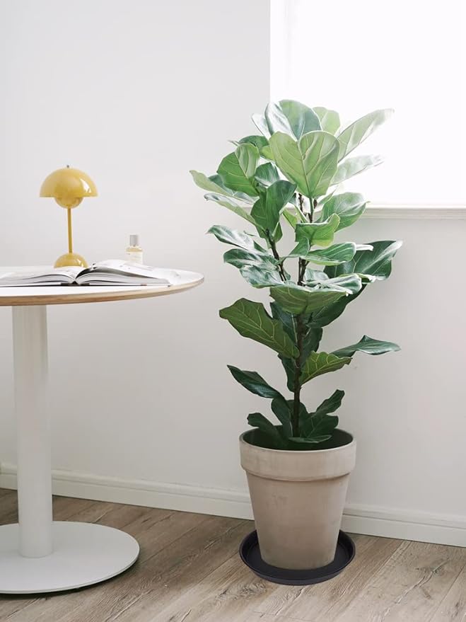 2 Pack of 14 inch Plant Saucer, Heavy Duty Round Plant Trays - Image 6