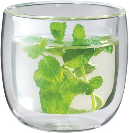 ZWILLING Sorrento 2-pc Double-Wall Glass Tea Cup Set by Zwilling