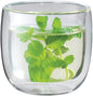 ZWILLING Sorrento 2-pc Double-Wall Glass Tea Cup Set by Zwilling