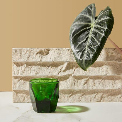 notNeutral Vero Glass - Image 4