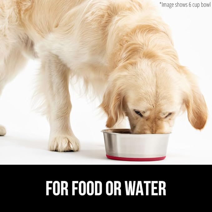 GORILLA GRIP Dog Bowls, Holds 2 Cups Each (16 fl oz), Heavy Duty Stainless Steel Food and Water Bowl for Feeding Dogs and Cats, Dishwasher Safe, Rust Resistant, BPA Free Rubber Base, Set of 2 Red