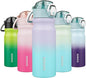 BJPKPK 18 oz Water Bottle with Straw & Handle, Insulated Stainless Flask | Leak by BJPKPK