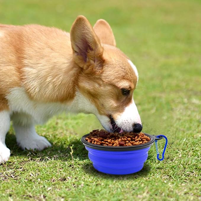Dog Bowl Pet Collapsible Bowls, 2 Pack - Image 6