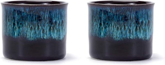 Espresso Cups Set of 2, Ceramic Espresso Cups, Expresso Shots Cups, 2.5oz Tea by RISTEASO
