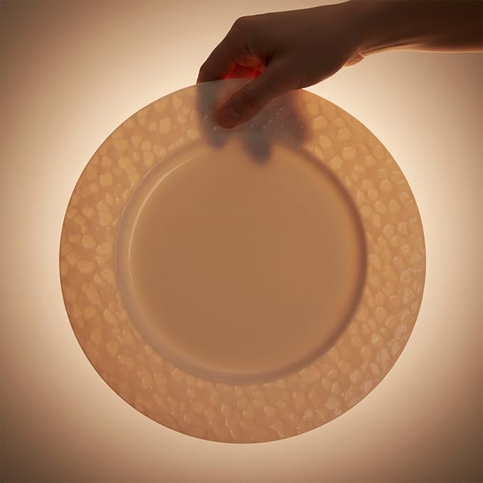 16 Piece Bone China Dinnerware Sets - Image 8