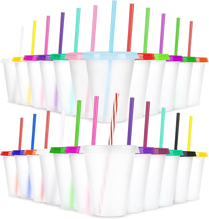 24 Pcs Plastic Tumblers with Lids and Straws, Reusable Cups with Lids Plastic by LEIFEOSH