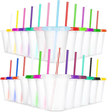 24 Pcs Plastic Tumblers with Lids and Straws, Reusable Cups with Lids Plastic by LEIFEOSH