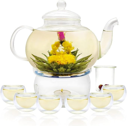 Glass Teapot Set, 27OZ/800ML Stovetop Safe Glass Tea Kettle by GURUDAR