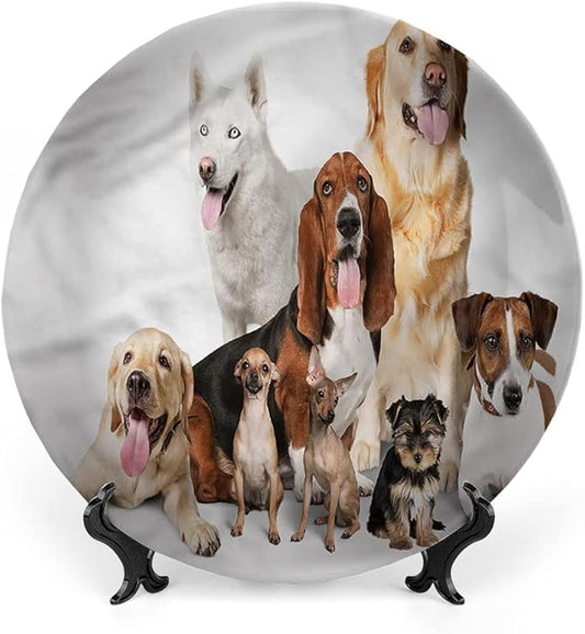 Ceramic Plates, Dog Lover Decorative Ceramic Plates, House Pet Photo Shoot, 7 Inch, Household Plates Decorative, Multicolor