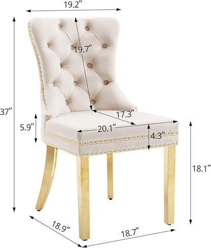 KCC Velvet Dining Chairs Set of 2, Upholstered High-end Tufted Dining Chair with Nailhead Back Ring Pull Trim Stainless Steel Legs, Contemporary Nikki Collection Modern Style for Kitchen, Beige