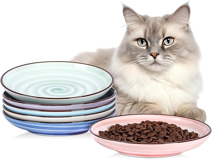 Selamica Ceramic Cat Food Bowl, 6 Inch Cat Bowls Whisker Friendly, Shallow Wide Kitten Plates for Food and Water, Set of 6, Gradient Color