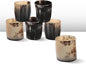 Handicrafts Home Handmade Horn Shot Glasses Set of 6, 3 oz Natural Viking by HandicraftsHome