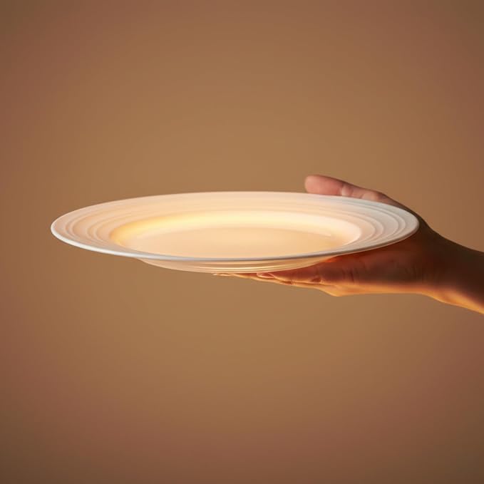 16 Piece Bone China Dinnerware Sets - Image 8