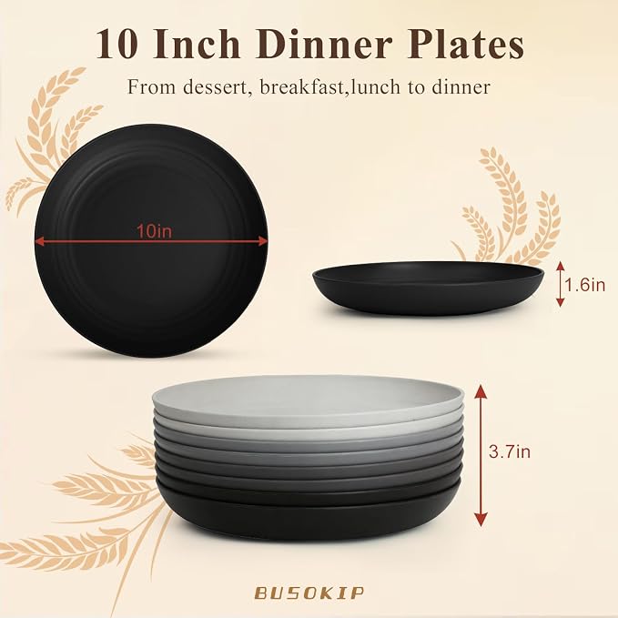 Kitchen Plates Set for 8, Unbreakable Wheat Straw Plates 10 Inch, Alternative - Image 2