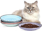 Selamica Ceramic Cat Bowls, 6 Inch Cat Food Bowl Whisker Friendly, Shallow Wide Kitten Plates for Food and Water, Set of 4, Gradient Colors
