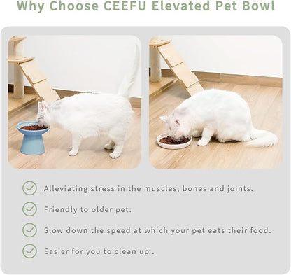 Extra Wide Elevated Ceramic Cat Water Bowl - 6.2" Deeper Dish for Whisker Fatigue Relief, 5" Height for Easy Feeding, Lead & Cadmium Free, Durable Raised Cat Bowls, Blue
