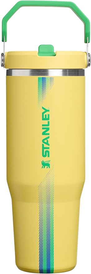 STANLEY IceFlow 2.0 Flip Straw Tumbler, 30 oz, Team Yellow Green | Easy Carry by Unknown