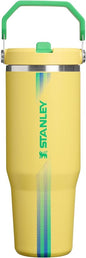STANLEY IceFlow 2.0 Flip Straw Tumbler, 30 oz, Team Yellow Green | Easy Carry by Unknown
