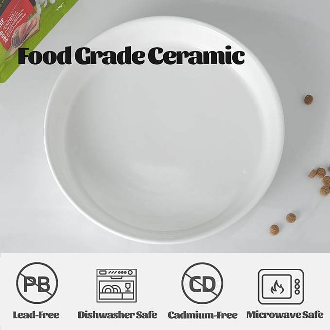 Fun Elements Shallow Dog Bowls, 10.5" Ceramic Large Food Plate for Small, Medium and Large Breeds, Non-Slip, Flat and Wide, Dishwasher Safe, Suitable for Dogs and Cats (White)