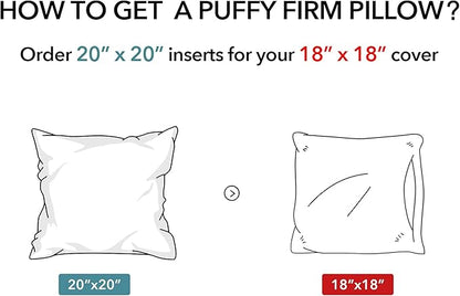 Oubonun 20 x 20 Throw Pillow Inserts (Set of 2) with 100% Cotton Cover - 20 Inch Square Interior Decorative Sofa Pillow Insert Pair - White Couch Pillow