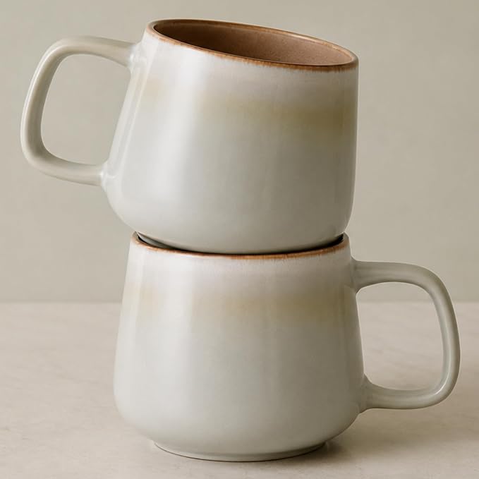 Ava Nord Large Stoneware Ceramic Coffee Mugs Set of 2 | 20 oz | Sage Ash | by AvaNord
