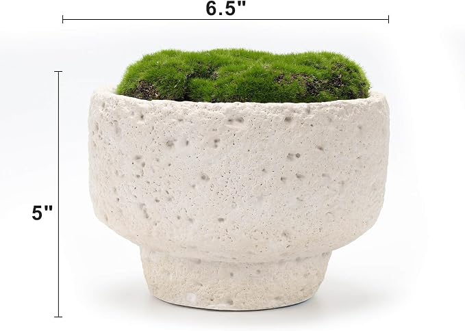 NAHARO New Moss Bowl, 6.5''Handmade Cement Bowl–Artificial Moss Centerpiece - Image 7