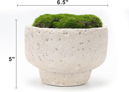 NAHARO New Moss Bowl, 6.5''Handmade Cement Bowl–Artificial Moss Centerpiece - Image 7