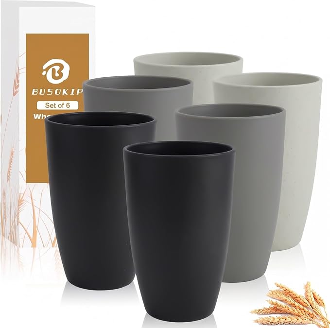 20 OZ Wheat Straw Cups Set of 6, Unbreakable Water Cup, Alternative to Plastic by BUSOKIP